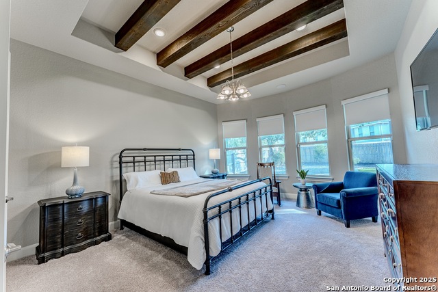 29519 Elkhorn, Fair Oaks Ranch, Texas image 13