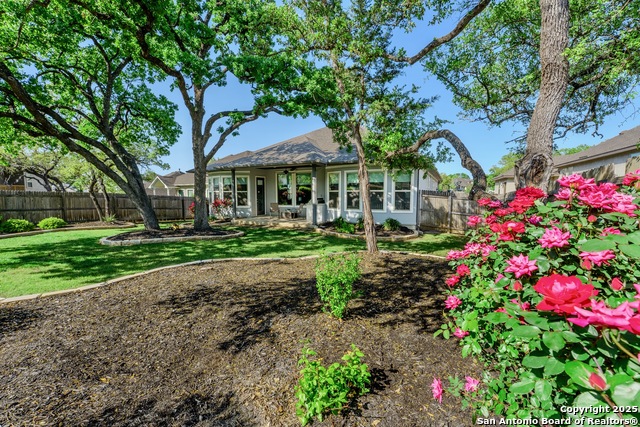 29519 Elkhorn, Fair Oaks Ranch, Texas image 18