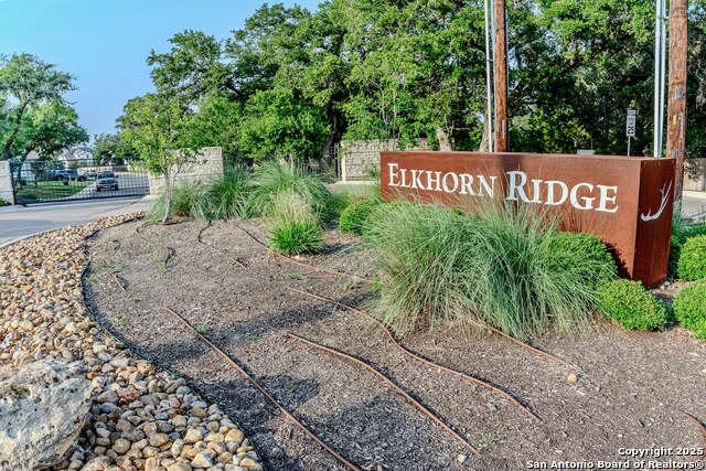 29519 Elkhorn, Fair Oaks Ranch, Texas image 25