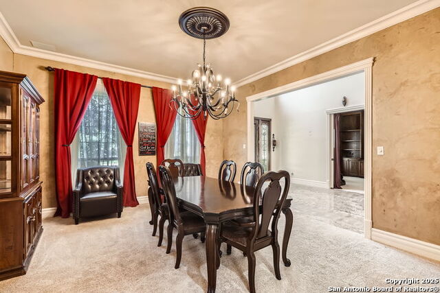 512 Blackjack Oak, Shavano Park, Texas image 11