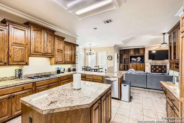 512 Blackjack Oak, Shavano Park, Texas image 16