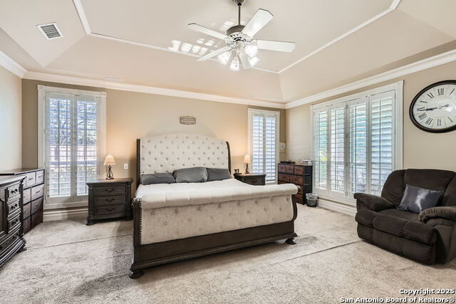 512 Blackjack Oak, Shavano Park, Texas image 19