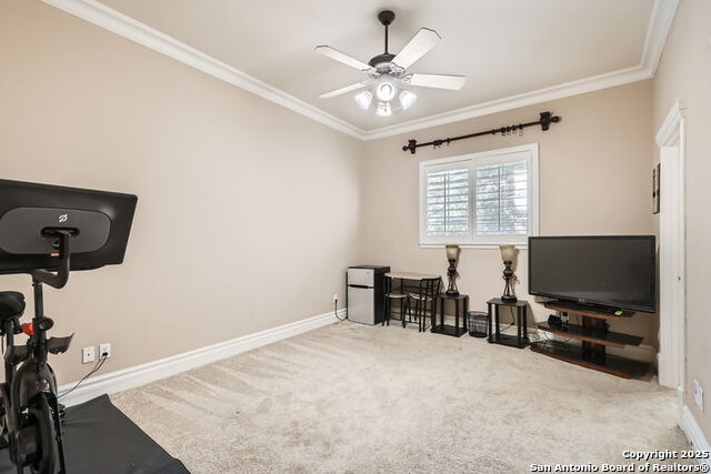 512 Blackjack Oak, Shavano Park, Texas image 23