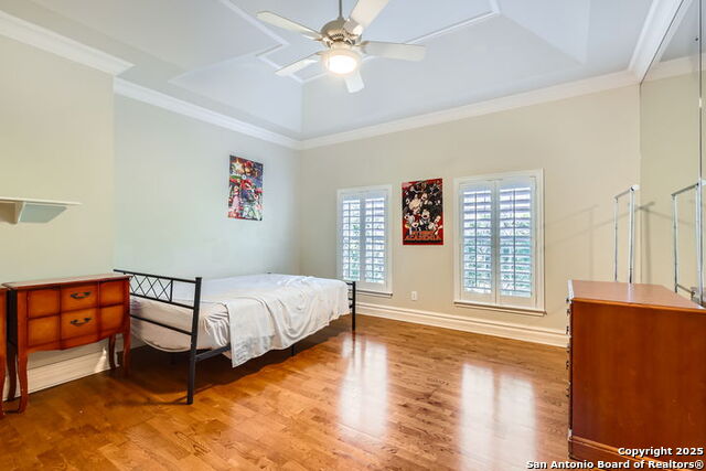 512 Blackjack Oak, Shavano Park, Texas image 27