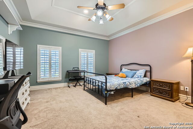 512 Blackjack Oak, Shavano Park, Texas image 29