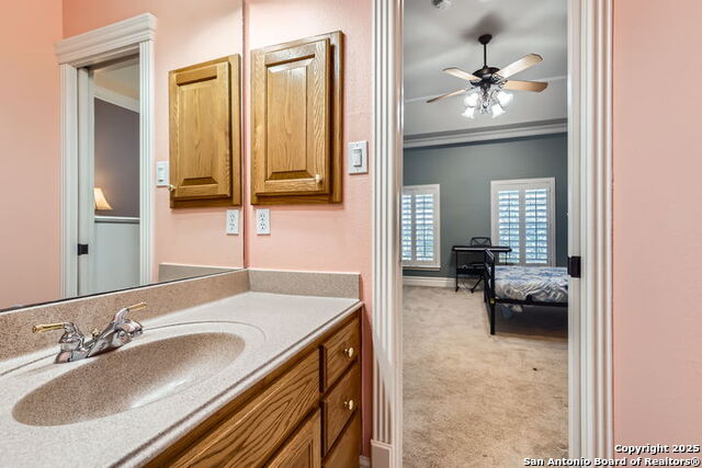 512 Blackjack Oak, Shavano Park, Texas image 30