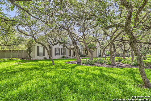 512 Blackjack Oak, Shavano Park, Texas image 4