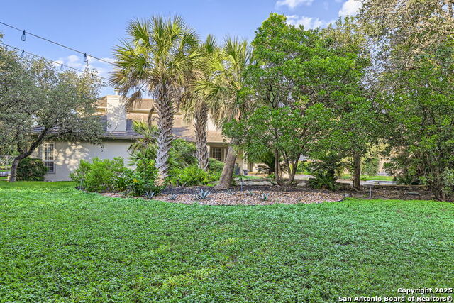 512 Blackjack Oak, Shavano Park, Texas image 40