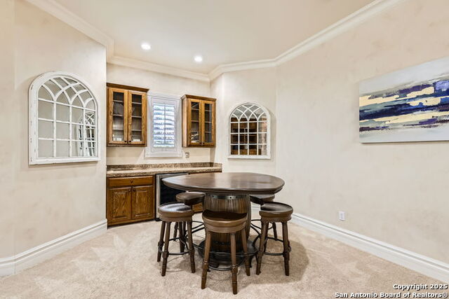 512 Blackjack Oak, Shavano Park, Texas image 9