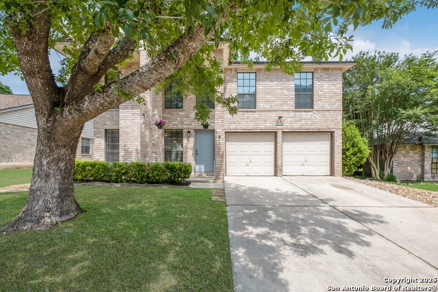 2516 Hidden Grove, Schertz, Texas image 4