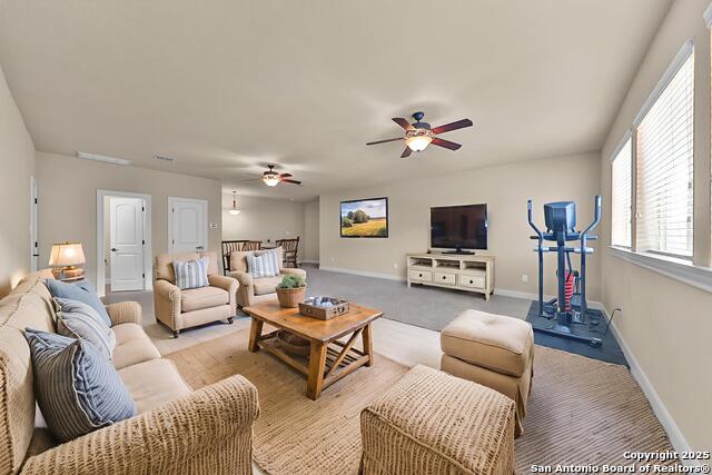 10518 Springcroft Ct, Helotes, Texas image 23