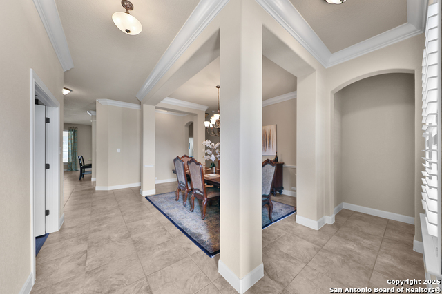 10518 Springcroft Ct, Helotes, Texas image 8