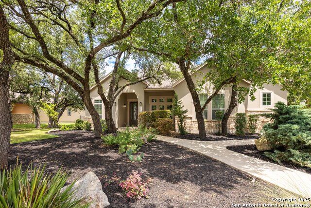 30171 Setterfeld, Fair Oaks Ranch, Texas image 2
