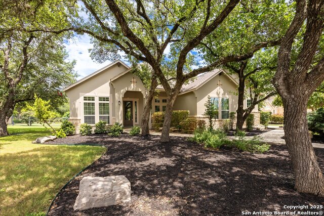 30171 Setterfeld, Fair Oaks Ranch, Texas image 3