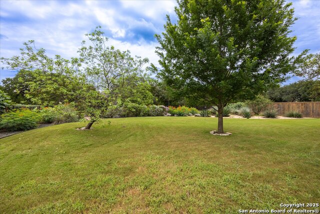 30171 Setterfeld, Fair Oaks Ranch, Texas image 36