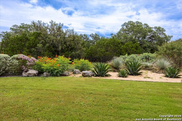 30171 Setterfeld, Fair Oaks Ranch, Texas image 38