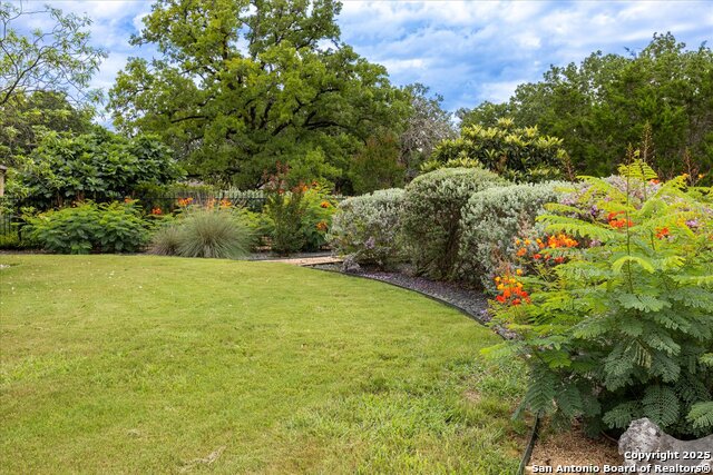 30171 Setterfeld, Fair Oaks Ranch, Texas image 40