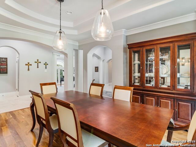 510 Possum Oak, Shavano Park, Texas image 12