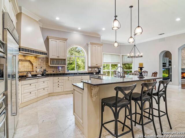 510 Possum Oak, Shavano Park, Texas image 14