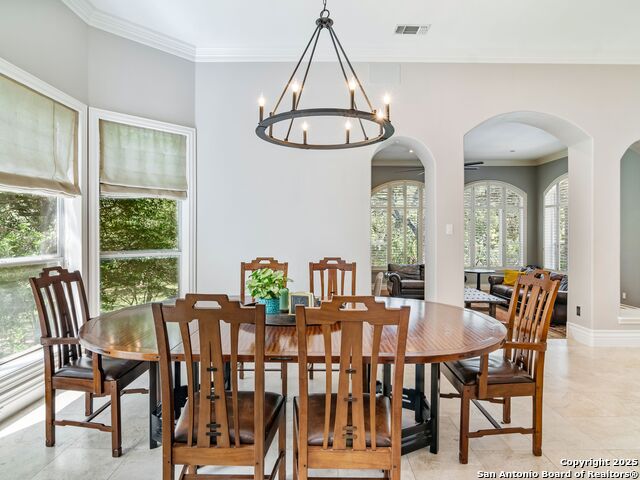 510 Possum Oak, Shavano Park, Texas image 19