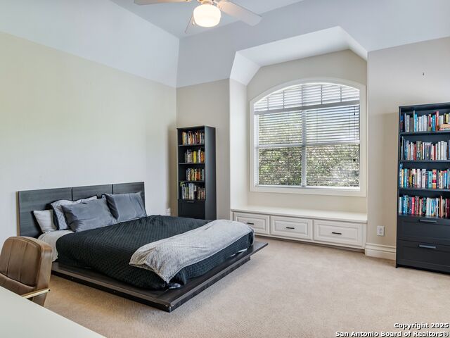 510 Possum Oak, Shavano Park, Texas image 34