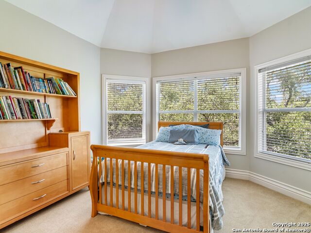 510 Possum Oak, Shavano Park, Texas image 36