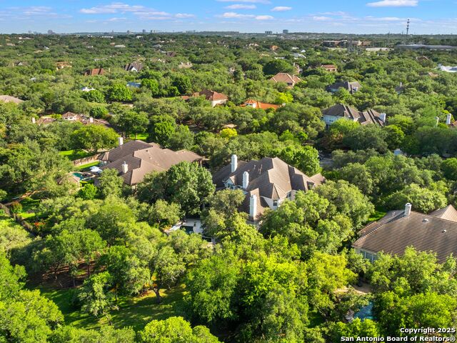 510 Possum Oak, Shavano Park, Texas image 48