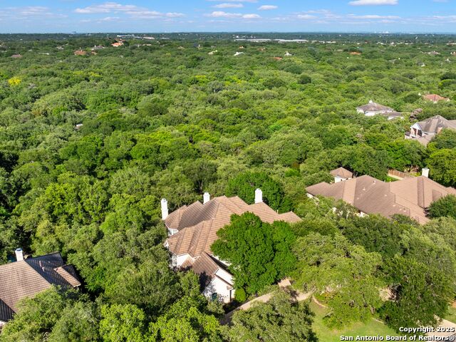 510 Possum Oak, Shavano Park, Texas image 49
