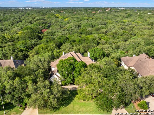510 Possum Oak, Shavano Park, Texas image 50