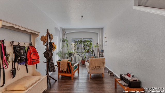1944 Eastern Finch, New Braunfels, Texas image 4
