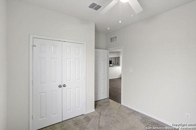 759 Crested Iris, New Braunfels, Texas image 29