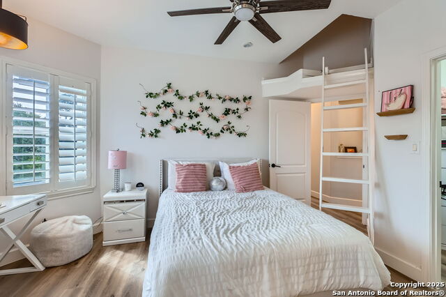 342 Candelaria, Helotes, Texas image 22
