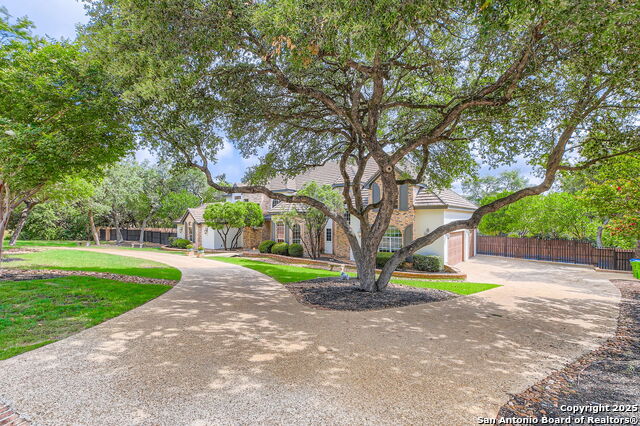 342 Candelaria, Helotes, Texas image 4