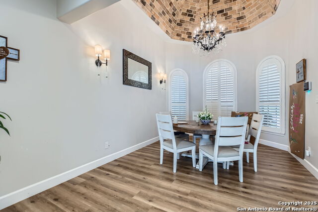 342 Candelaria, Helotes, Texas image 7