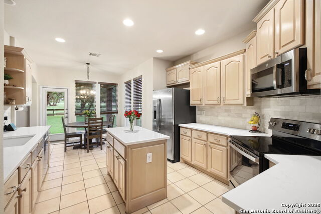 29743 No Lehace, Fair Oaks Ranch, Texas image 18