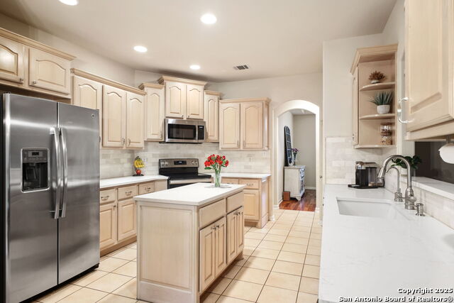 29743 No Lehace, Fair Oaks Ranch, Texas image 20