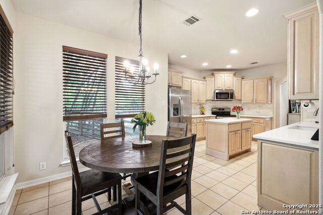 29743 No Lehace, Fair Oaks Ranch, Texas image 21
