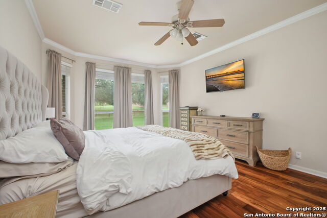 29743 No Lehace, Fair Oaks Ranch, Texas image 25