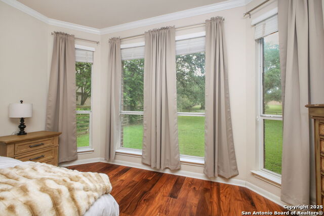 29743 No Lehace, Fair Oaks Ranch, Texas image 26
