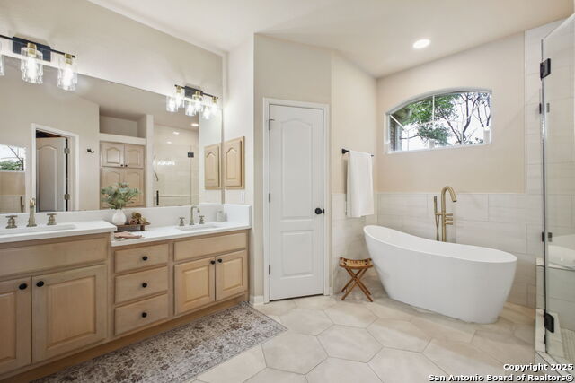 29743 No Lehace, Fair Oaks Ranch, Texas image 28