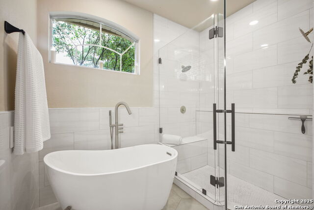29743 No Lehace, Fair Oaks Ranch, Texas image 29
