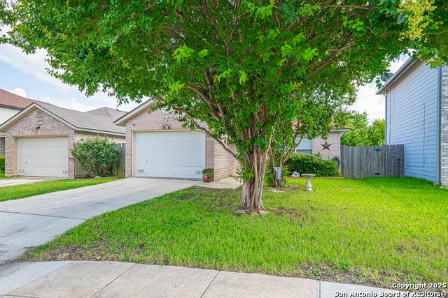 11002 Stagwood Pass, San Antonio, Texas image 18