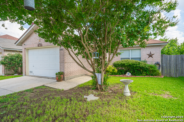 11002 Stagwood Pass, San Antonio, Texas image 19