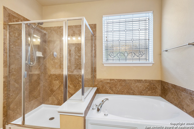 13106 Essen Forest, Helotes, Texas image 17