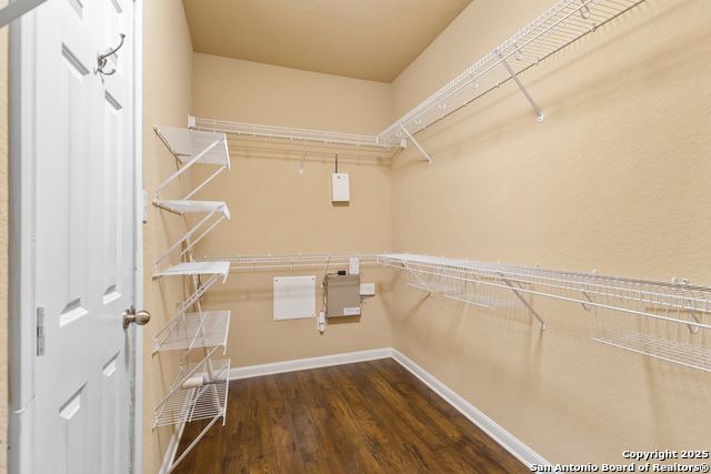 13106 Essen Forest, Helotes, Texas image 18