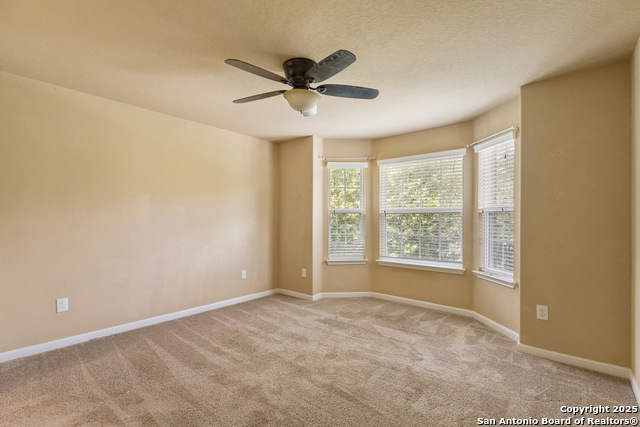 13106 Essen Forest, Helotes, Texas image 22