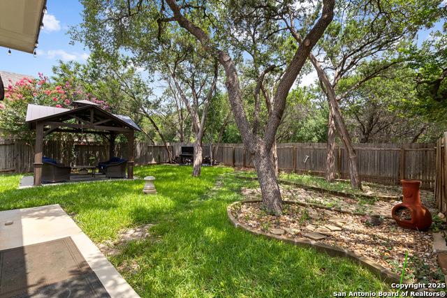 13106 Essen Forest, Helotes, Texas image 29