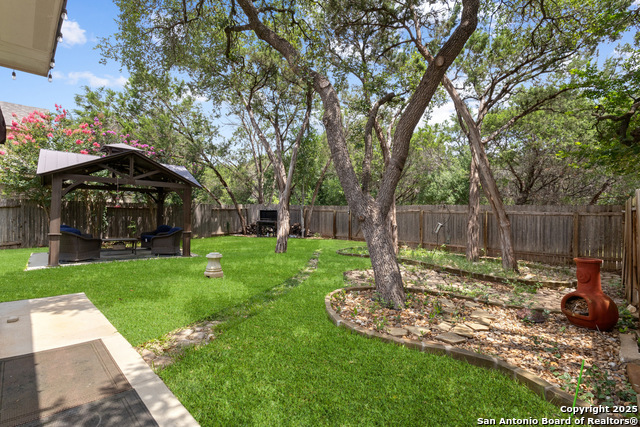 13106 Essen Forest, Helotes, Texas image 34