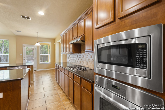 13106 Essen Forest, Helotes, Texas image 7