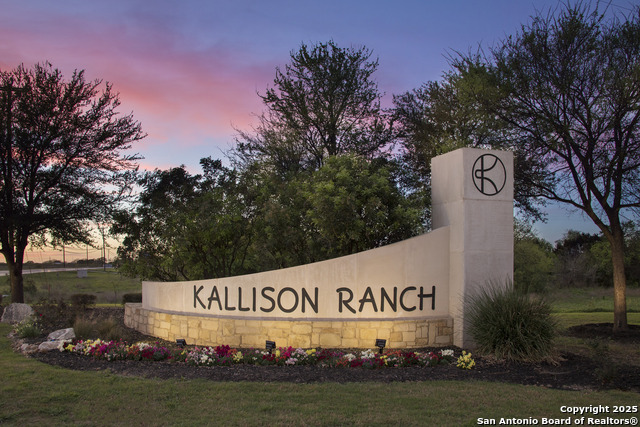 9937 Paladin Ridge, San Antonio, Texas image 8
